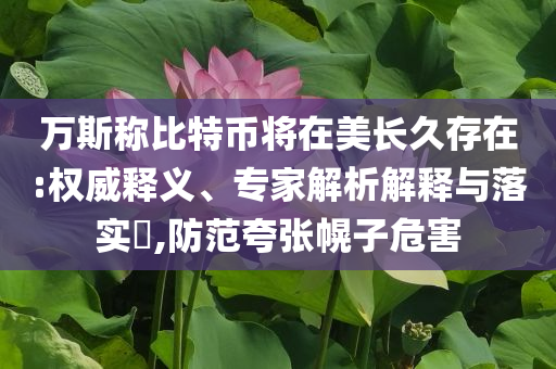 萬斯稱比特幣將在美長久存在:權(quán)威釋義、專家解析解釋與落實?,防范夸張幌子危害