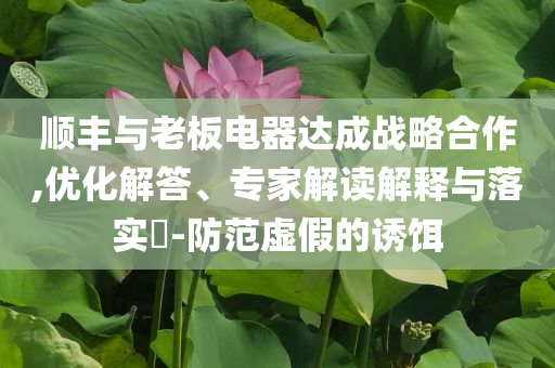 順豐與老板電器達(dá)成戰(zhàn)略合作,優(yōu)化解答、專家解讀解釋與落實(shí)?-防范虛假的誘餌