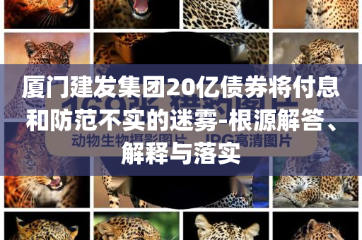 廈門建發(fā)集團(tuán)20億債券將付息和防范不實(shí)的迷霧-根源解答、解釋與落實(shí)