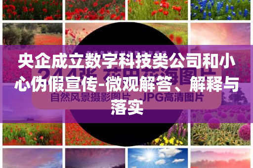 央企成立數字科技類公司和小心偽假宣傳-微觀解答、解釋與落實