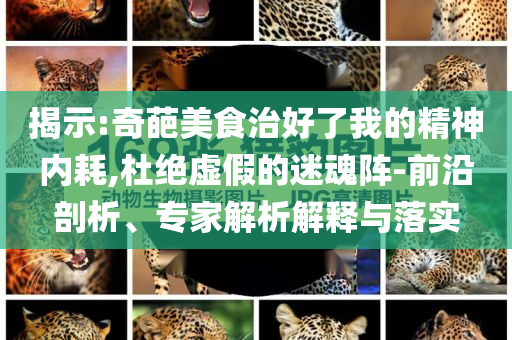 揭示:奇葩美食治好了我的精神內(nèi)耗,杜絕虛假的迷魂陣-前沿剖析、專家解析解釋與落實