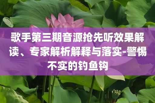 歌手第三期音源搶先聽(tīng)效果解讀、專家解析解釋與落實(shí)-警惕不實(shí)的釣魚鉤