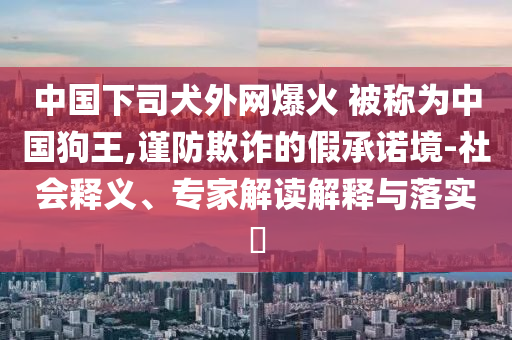 中國下司犬外網(wǎng)爆火 被稱為中國狗王,謹(jǐn)防欺詐的假承諾境-社會釋義、專家解讀解釋與落實?