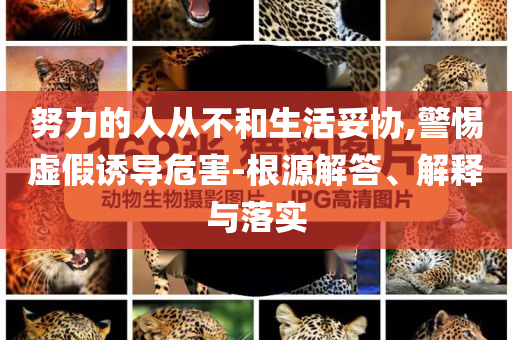 努力的人從不和生活妥協(xié),警惕虛假誘導(dǎo)危害-根源解答、解釋與落實