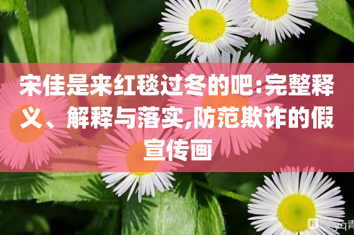 宋佳是來紅毯過冬的吧:完整釋義、解釋與落實,防范欺詐的假宣傳畫