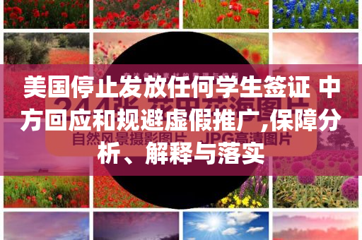 美國停止發(fā)放任何學(xué)生簽證 中方回應(yīng)和規(guī)避虛假推廣,保障分析、解釋與落實