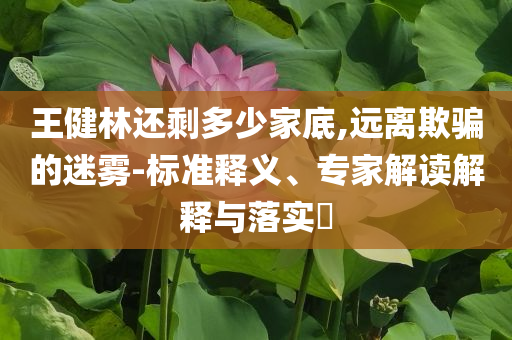 王健林還剩多少家底,遠(yuǎn)離欺騙的迷霧-標(biāo)準(zhǔn)釋義、專家解讀解釋與落實(shí)?