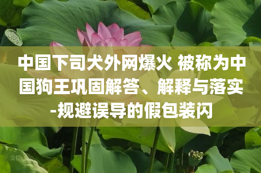 中國下司犬外網(wǎng)爆火 被稱為中國狗王鞏固解答、解釋與落實-規(guī)避誤導的假包裝閃