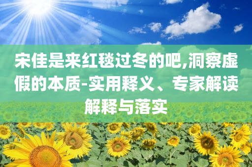 宋佳是來紅毯過冬的吧,洞察虛假的本質(zhì)-實(shí)用釋義、專家解讀解釋與落實(shí)