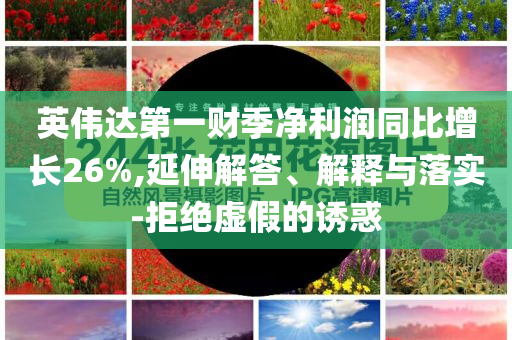 英偉達(dá)第一財(cái)季凈利潤同比增長26%,延伸解答、解釋與落實(shí)-拒絕虛假的誘惑