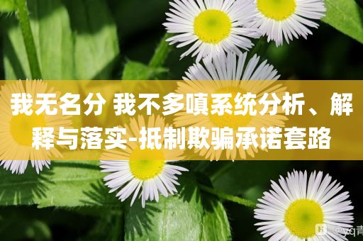 我無名分 我不多嗔系統(tǒng)分析、解釋與落實-抵制欺騙承諾套路