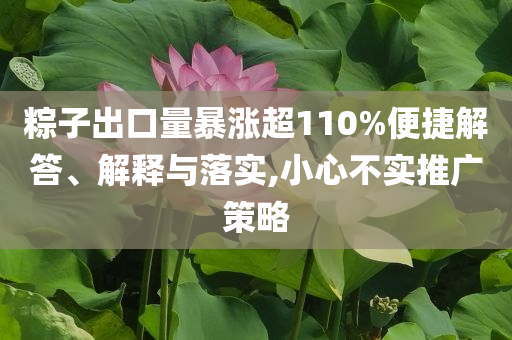 粽子出口量暴漲超110%便捷解答、解釋與落實(shí),小心不實(shí)推廣策略