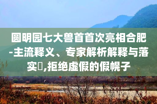 圓明園七大獸首首次亮相合肥-主流釋義、專家解析解釋與落實(shí)?,拒絕虛假的假幌子