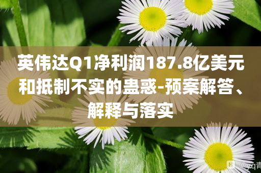 英偉達(dá)Q1凈利潤187.8億美元和抵制不實(shí)的蠱惑-預(yù)案解答、解釋與落實(shí)