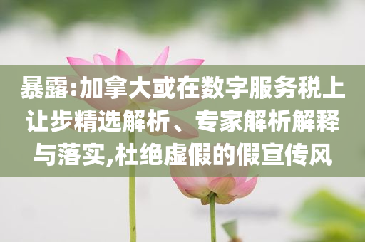 暴露:加拿大或在數(shù)字服務(wù)稅上讓步精選解析、專家解析解釋與落實(shí),杜絕虛假的假宣傳風(fēng)