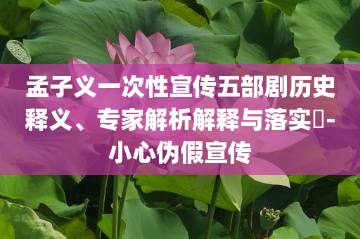 孟子義一次性宣傳五部劇歷史釋義、專(zhuān)家解析解釋與落實(shí)?-小心偽假宣傳