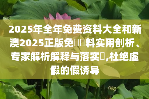 2025年全年免費(fèi)資料大全和新澳2025正版免費(fèi)資料實(shí)用剖析、專家解析解釋與落實(shí)?,杜絕虛假的假誘導(dǎo)