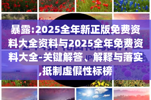 暴露:2025全年新正版免費資料大全資料與2025全年免費資料大全-關(guān)鍵解答、解釋與落實,抵制虛假性標(biāo)榜