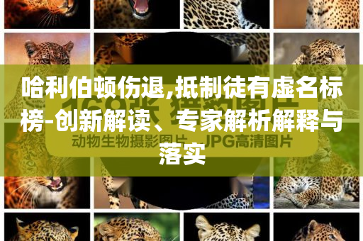 哈利伯頓傷退,抵制徒有虛名標(biāo)榜-創(chuàng)新解讀、專家解析解釋與落實