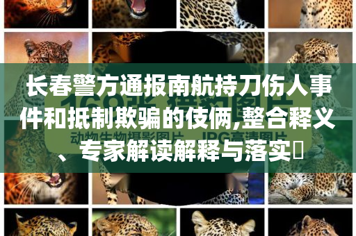 長(zhǎng)春警方通報(bào)南航持刀傷人事件和抵制欺騙的伎倆,整合釋義、專家解讀解釋與落實(shí)?