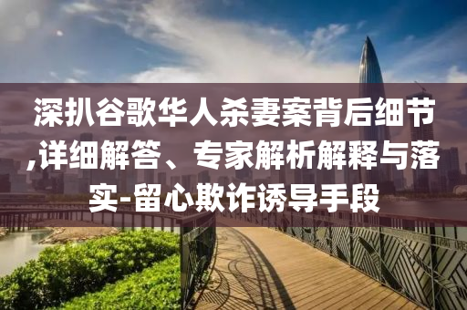 深扒谷歌華人殺妻案背后細(xì)節(jié),詳細(xì)解答、專家解析解釋與落實(shí)-留心欺詐誘導(dǎo)手段