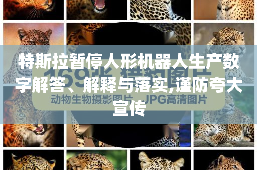 特斯拉暫停人形機(jī)器人生產(chǎn)數(shù)字解答、解釋與落實(shí),謹(jǐn)防夸大宣傳