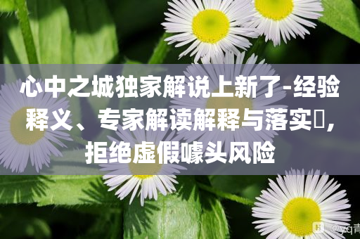心中之城獨家解說上新了-經(jīng)驗釋義、專家解讀解釋與落實?,拒絕虛假噱頭風險