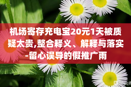 機場寄存充電寶20元1天被質(zhì)疑太貴,整合釋義、解釋與落實-留心誤導的假推廣雨