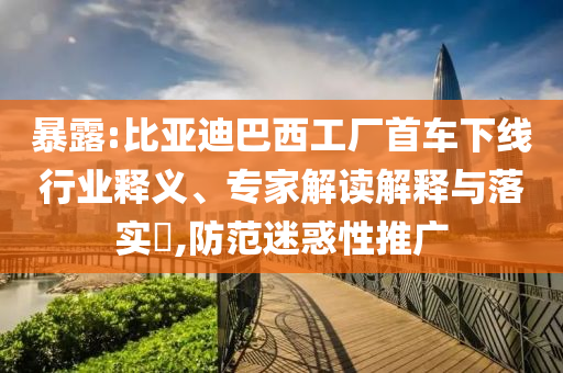 暴露:比亞迪巴西工廠首車下線行業(yè)釋義、專家解讀解釋與落實(shí)?,防范迷惑性推廣
