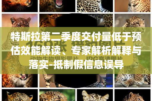 特斯拉第二季度交付量低于預估效能解讀、專家解析解釋與落實-抵制假信息誤導