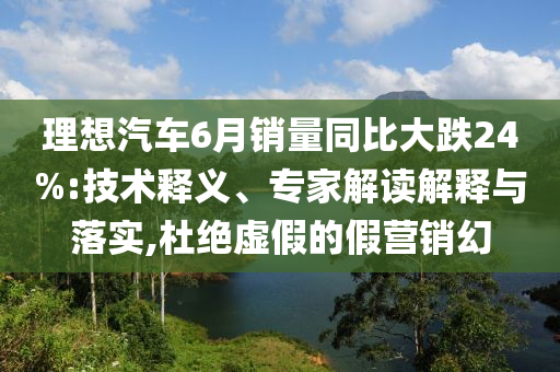 理想汽車(chē)6月銷(xiāo)量同比大跌24%:技術(shù)釋義、專(zhuān)家解讀解釋與落實(shí),杜絕虛假的假營(yíng)銷(xiāo)幻