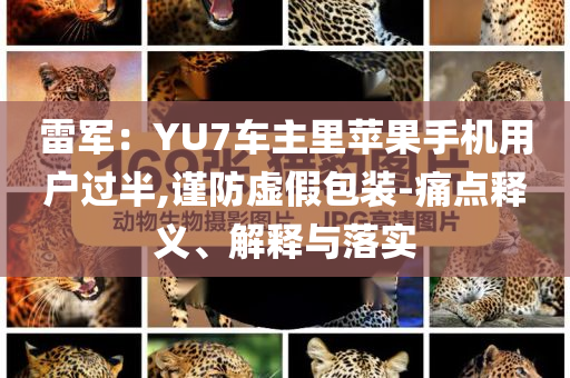 雷軍：YU7車主里蘋果手機(jī)用戶過半,謹(jǐn)防虛假包裝-痛點(diǎn)釋義、解釋與落實(shí)
