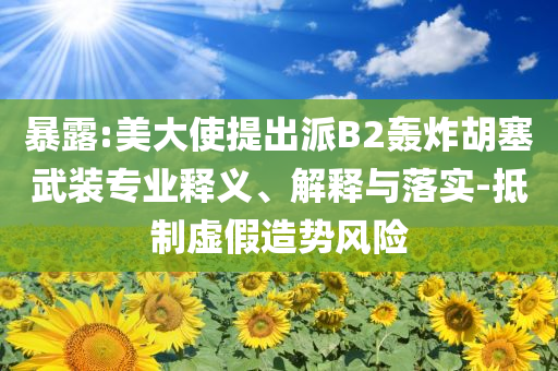 暴露:美大使提出派B2轟炸胡塞武裝專(zhuān)業(yè)釋義、解釋與落實(shí)-抵制虛假造勢(shì)風(fēng)險(xiǎn)