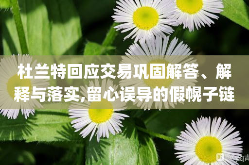 杜蘭特回應交易鞏固解答、解釋與落實,留心誤導的假幌子鏈