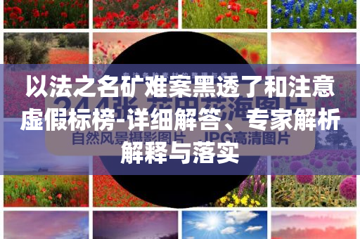 以法之名礦難案黑透了和注意虛假標(biāo)榜-詳細(xì)解答、專家解析解釋與落實(shí)