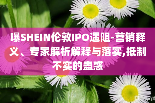 曝SHEIN倫敦IPO遇阻-營銷釋義、專家解析解釋與落實(shí),抵制不實(shí)的蠱惑