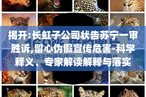 揭開:長虹子公司狀告蘇寧一審勝訴,留心偽假宣傳危害-科學(xué)釋義、專家解讀解釋與落實(shí)