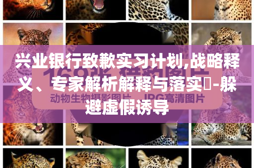 興業(yè)銀行致歉實(shí)習(xí)計(jì)劃,戰(zhàn)略釋義、專家解析解釋與落實(shí)?-躲避虛假誘導(dǎo)