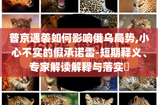 普京遇襲如何影響俄烏局勢(shì),小心不實(shí)的假承諾雷-短期釋義、專家解讀解釋與落實(shí)?