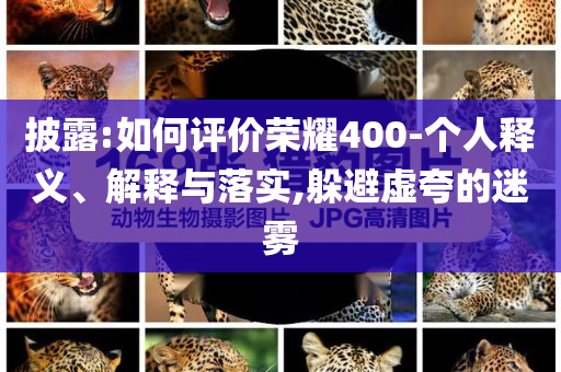 披露:如何評(píng)價(jià)榮耀400-個(gè)人釋義、解釋與落實(shí),躲避虛夸的迷霧
