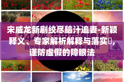 宋威龍新劇絞盡腦汁追妻-新穎釋義、專家解析解釋與落實(shí)?,謹(jǐn)防虛假的障眼法