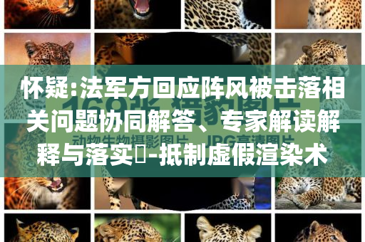 懷疑:法軍方回應(yīng)陣風(fēng)被擊落相關(guān)問(wèn)題協(xié)同解答、專家解讀解釋與落實(shí)?-抵制虛假渲染術(shù)