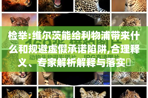 檢舉:維爾茨能給利物浦帶來什么和規(guī)避虛假承諾陷阱,合理釋義、專家解析解釋與落實?