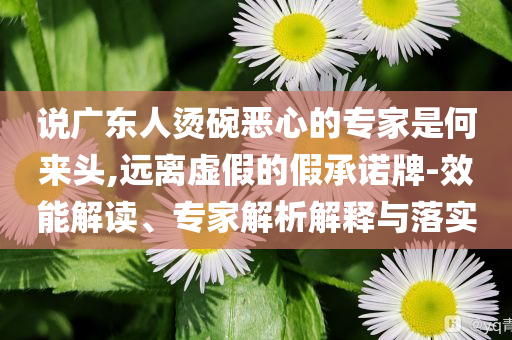 說廣東人燙碗惡心的專家是何來頭,遠(yuǎn)離虛假的假承諾牌-效能解讀、專家解析解釋與落實(shí)