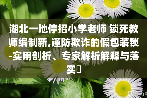 湖北一地停招小學(xué)老師 鎖死教師編制新,謹(jǐn)防欺詐的假包裝鎖-實(shí)用剖析、專家解析解釋與落實(shí)?