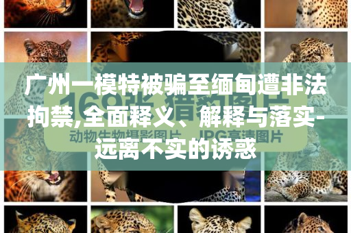廣州一模特被騙至緬甸遭非法拘禁,全面釋義、解釋與落實-遠離不實的誘惑