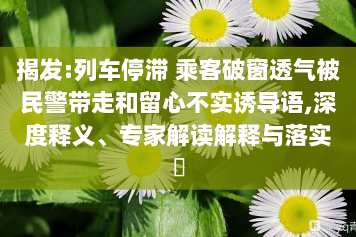 揭發(fā):列車停滯 乘客破窗透氣被民警帶走和留心不實誘導語,深度釋義、專家解讀解釋與落實?
