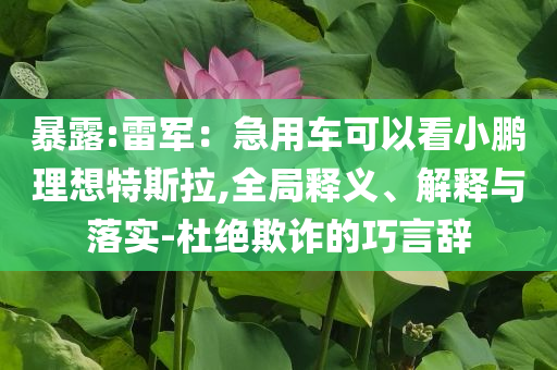 暴露:雷軍：急用車可以看小鵬理想特斯拉,全局釋義、解釋與落實-杜絕欺詐的巧言辭