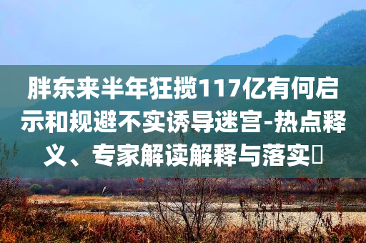 胖東來半年狂攬117億有何啟示和規(guī)避不實誘導(dǎo)迷宮-熱點釋義、專家解讀解釋與落實?