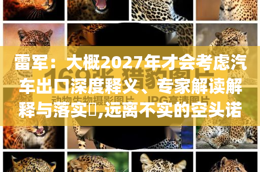 雷軍：大概2027年才會(huì)考慮汽車出口深度釋義、專家解讀解釋與落實(shí)?,遠(yuǎn)離不實(shí)的空頭諾